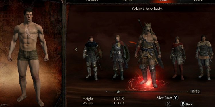 Dragonsdogma Customize01jpg