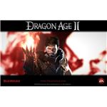 Dragon Age 2 Character Build