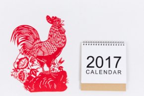 rooster year 2017