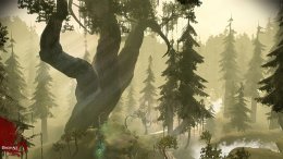 The Brecilian Forest - Dragon Age: Origins storyline - reputation for Dragon Age - Dragon Age: Inquisition Game Guide & Walkthrough