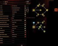 Dragon Age Shapeshifter build