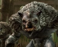 Dragon Age werewolves